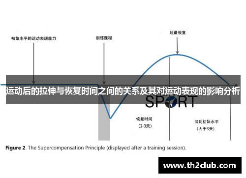 运动后的拉伸与恢复时间之间的关系及其对运动表现的影响分析